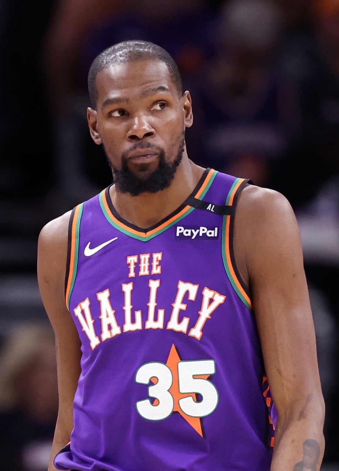 灰熊对阵黄 灰熊对阵黄